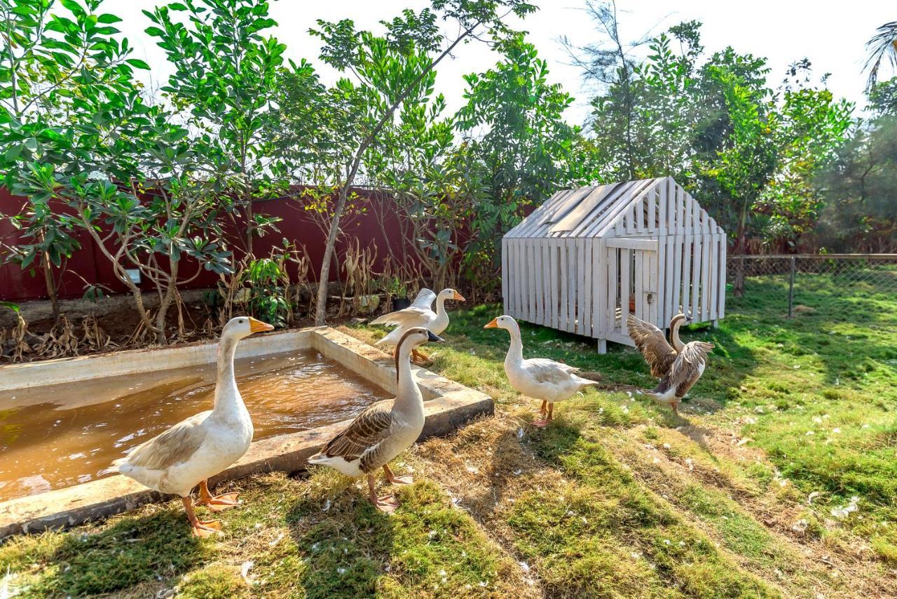 Saffronstays Palm Paradise, Kalyan Khadavli - Swimming Pool With Water Slides, Gazebo And Indoor Games Padghe Exterior foto